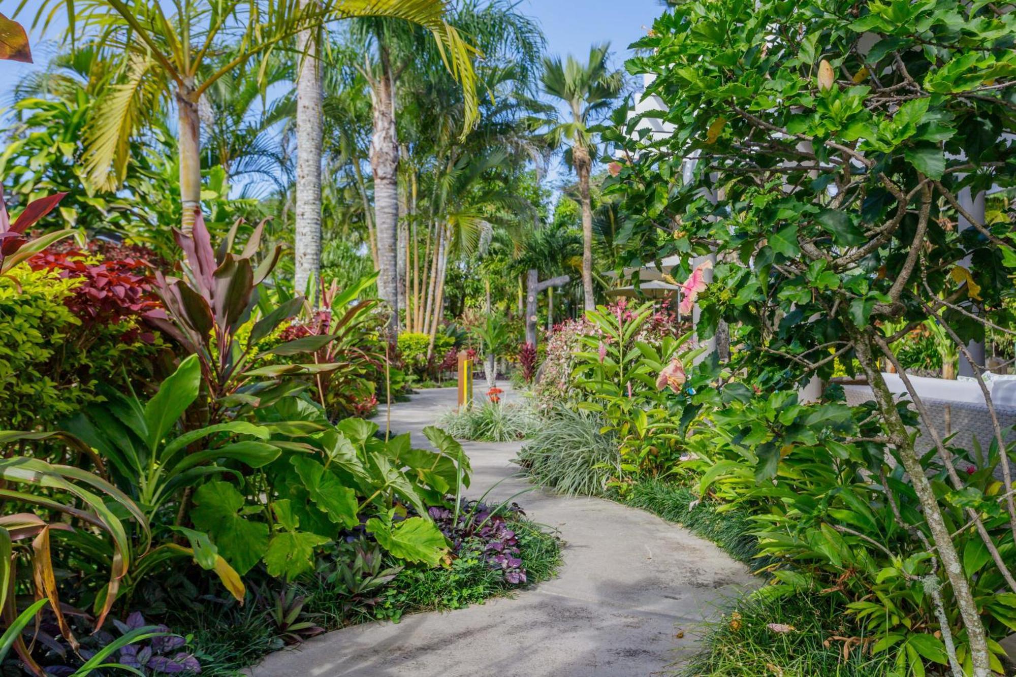 Rarotonga Daydreamer Escape Eksteriør bilde