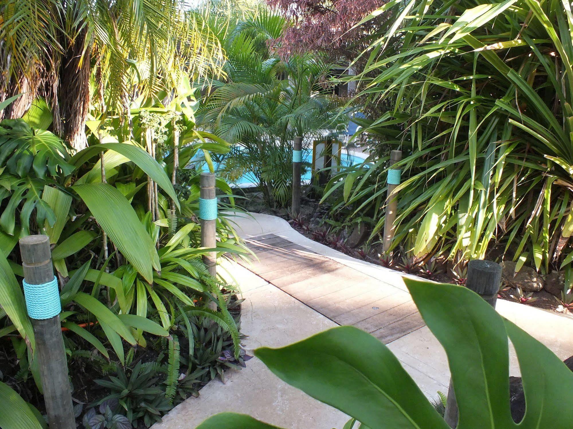 Rarotonga Daydreamer Escape Eksteriør bilde